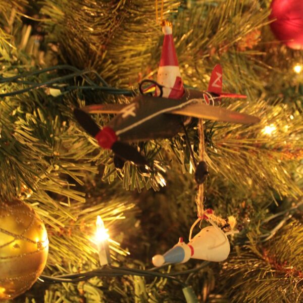 „KOCHANY PANIE MIKOŁAJU…”