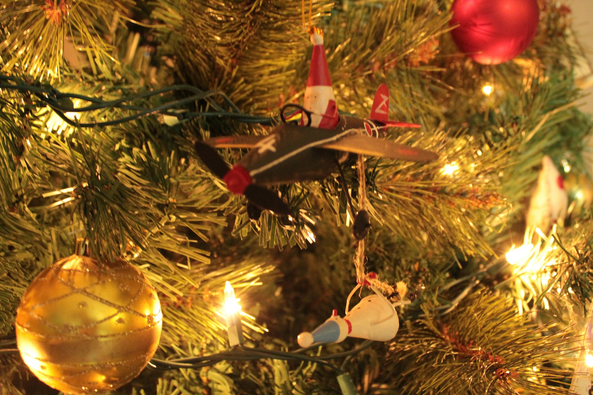 You are currently viewing „KOCHANY PANIE MIKOŁAJU…”